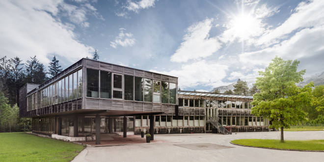 Wooden modern timber passive house with green tree