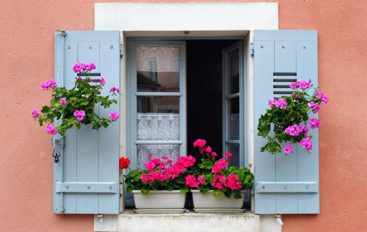 Le rebord de fenêtre : petit espace dédié au jardin