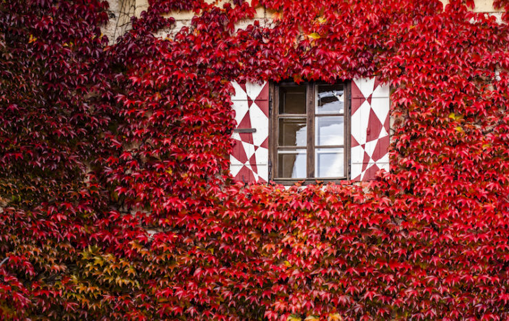 La décoration de fenêtres en automne