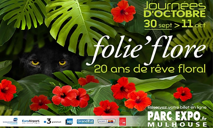 Journées d'octobre Mulhouse 2020